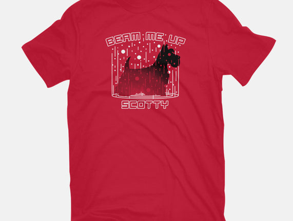 Beam Me Up