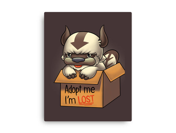 Adopt Appa