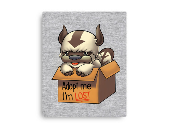 Adopt Appa