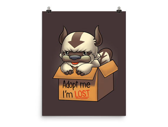 Adopt Appa