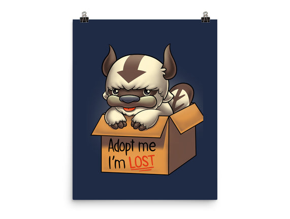 Adopt Appa