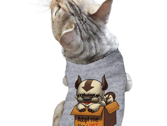 Adopt Appa