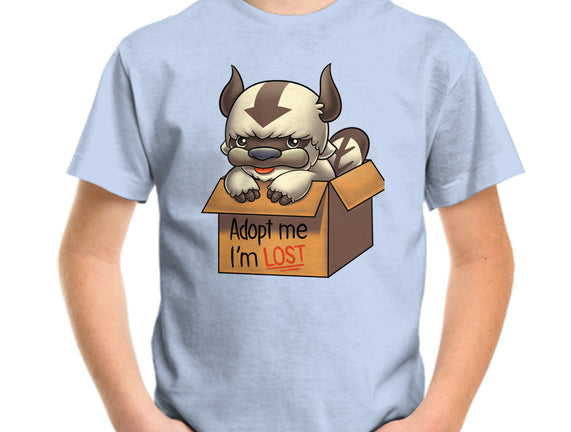 Adopt Appa