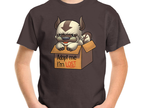 Adopt Appa