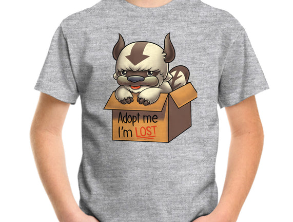 Adopt Appa