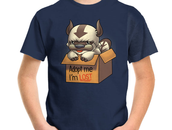Adopt Appa