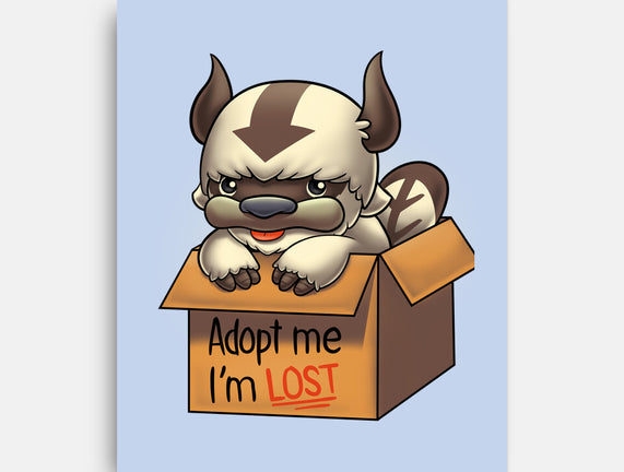 Adopt Appa