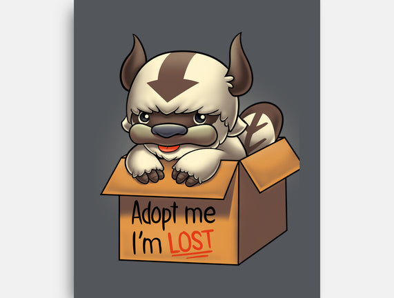 Adopt Appa