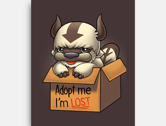 Adopt Appa