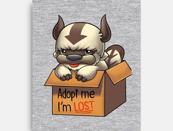 Adopt Appa