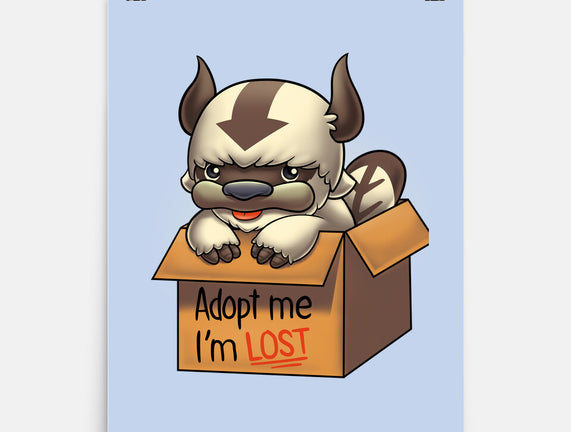 Adopt Appa