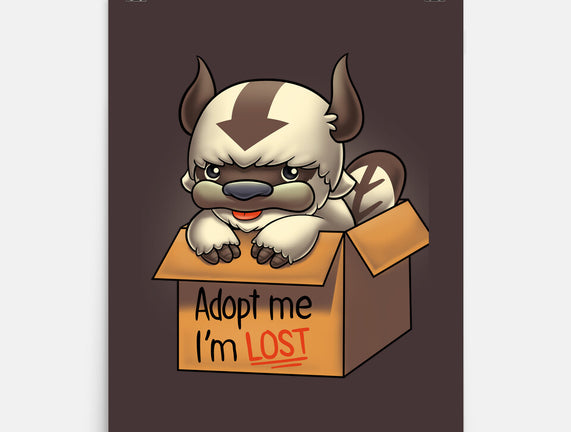 Adopt Appa