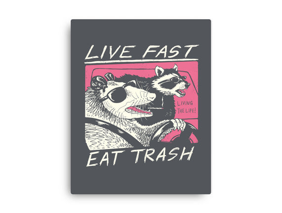 Fast Trash Life