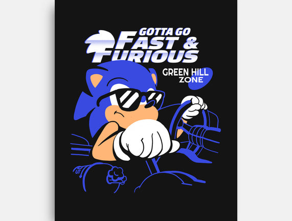 Gotta Go Fast & Furious