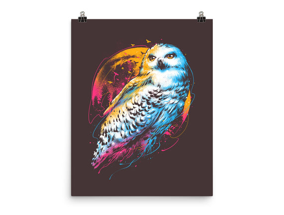 Colorful Owl