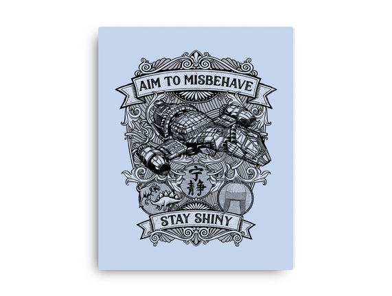 Aim to Misbehave
