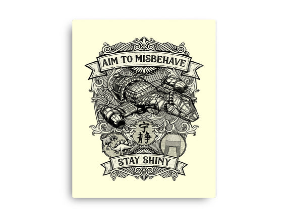 Aim to Misbehave