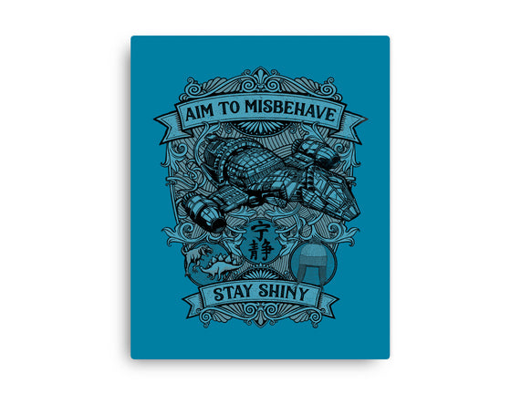 Aim to Misbehave