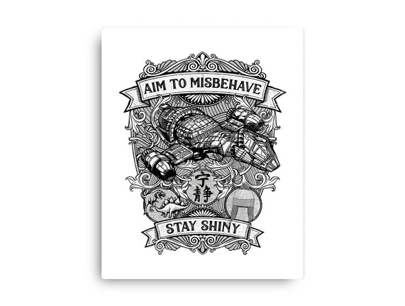 Aim to Misbehave
