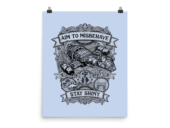 Aim to Misbehave