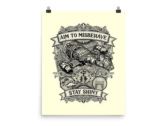Aim to Misbehave