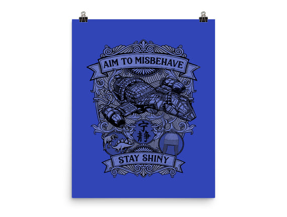 Aim to Misbehave