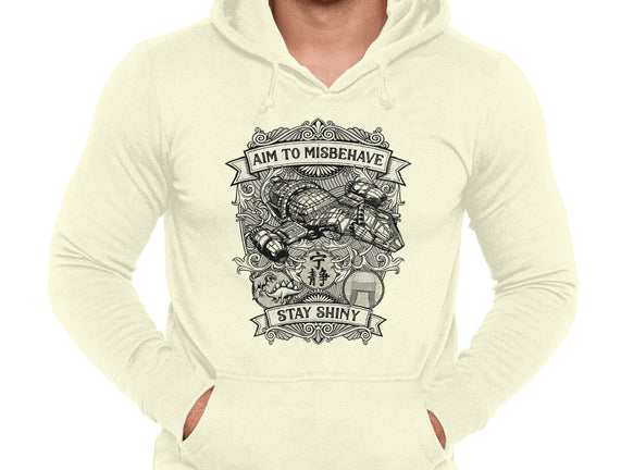 Aim to Misbehave