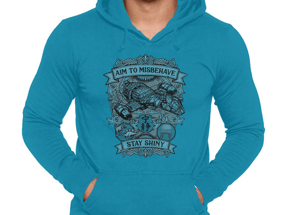 Aim to Misbehave