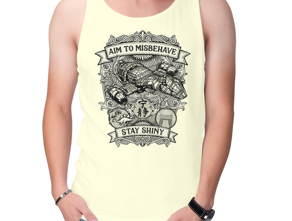 Aim to Misbehave