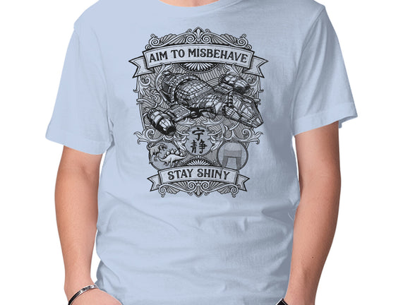 Aim to Misbehave