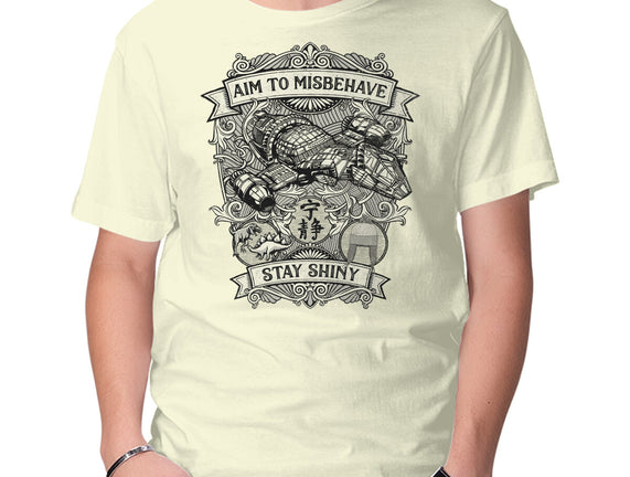 Aim to Misbehave