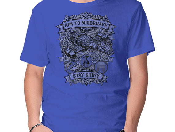 Aim to Misbehave