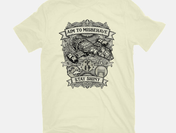 Aim to Misbehave