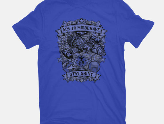 Aim to Misbehave