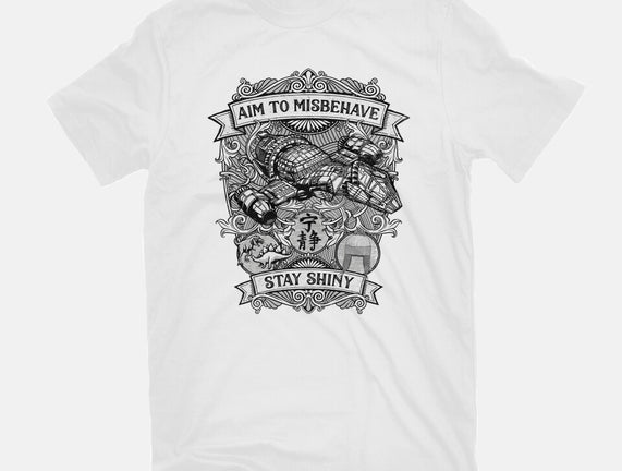 Aim to Misbehave