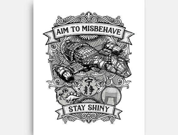 Aim to Misbehave
