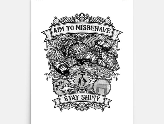 Aim to Misbehave