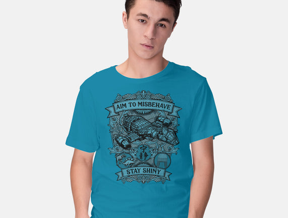 Aim to Misbehave