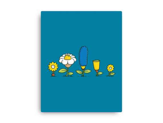 Spring Field