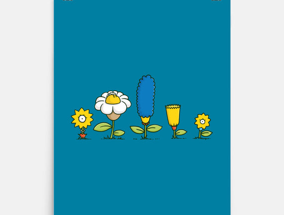 Spring Field