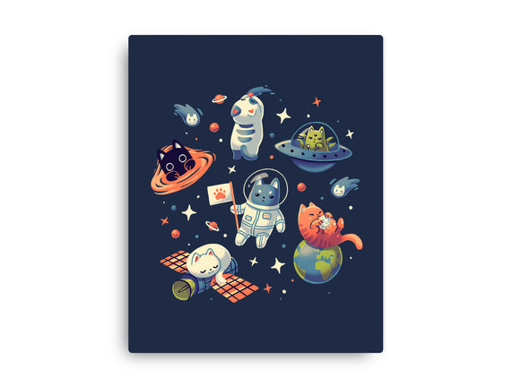 Cats in Space