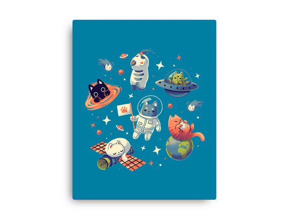 Cats in Space