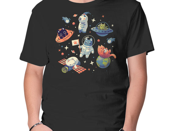 Cats in Space