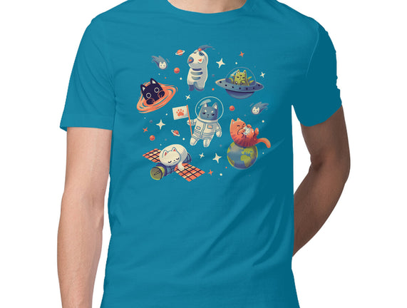 Cats in Space