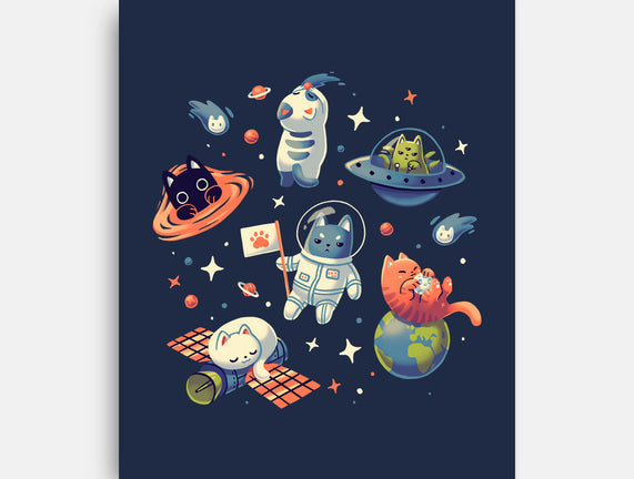 Cats in Space