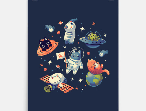 Cats in Space