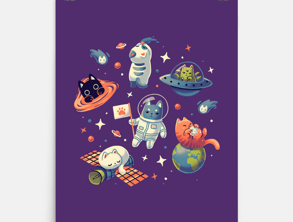 Cats in Space