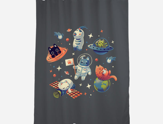 Cats in Space
