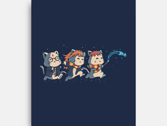 Magical Cats