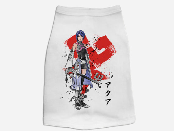 Keyblade Master Aqua